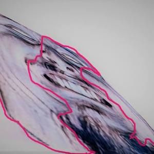 Meet your Posher, Steph